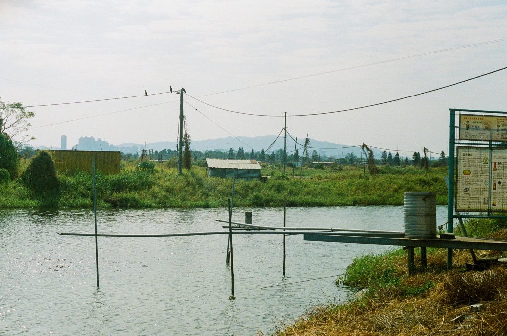 Annabel Cohen – Mai Po