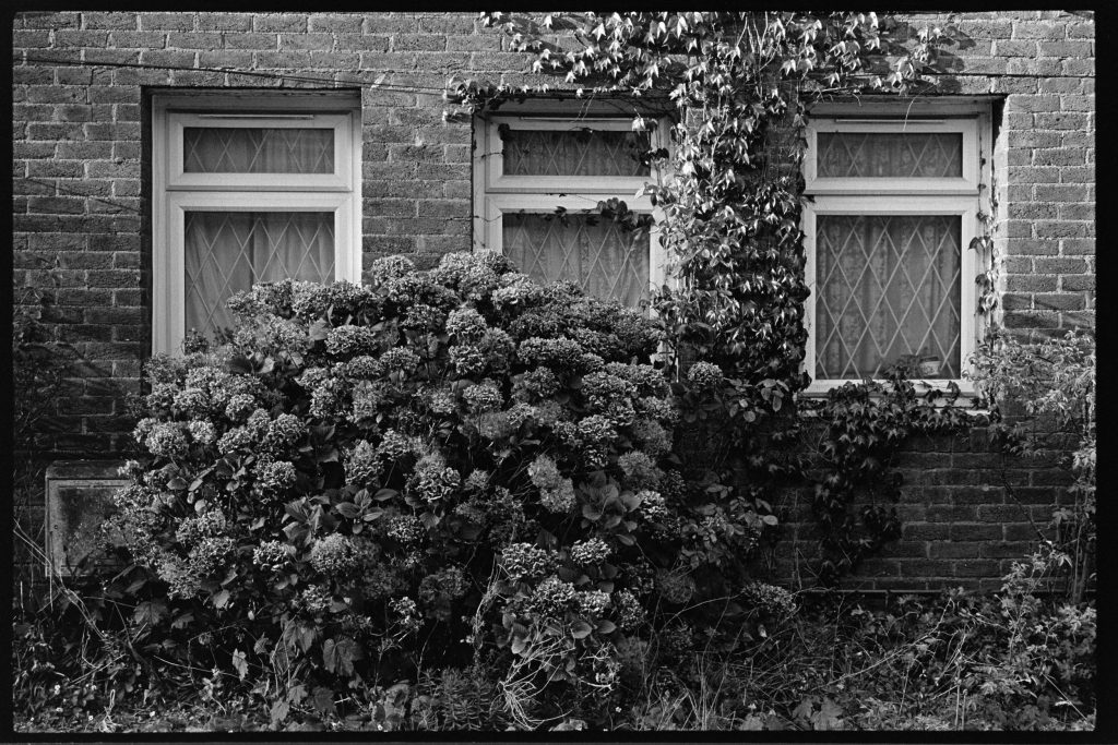 Dan Dummer – Town Street