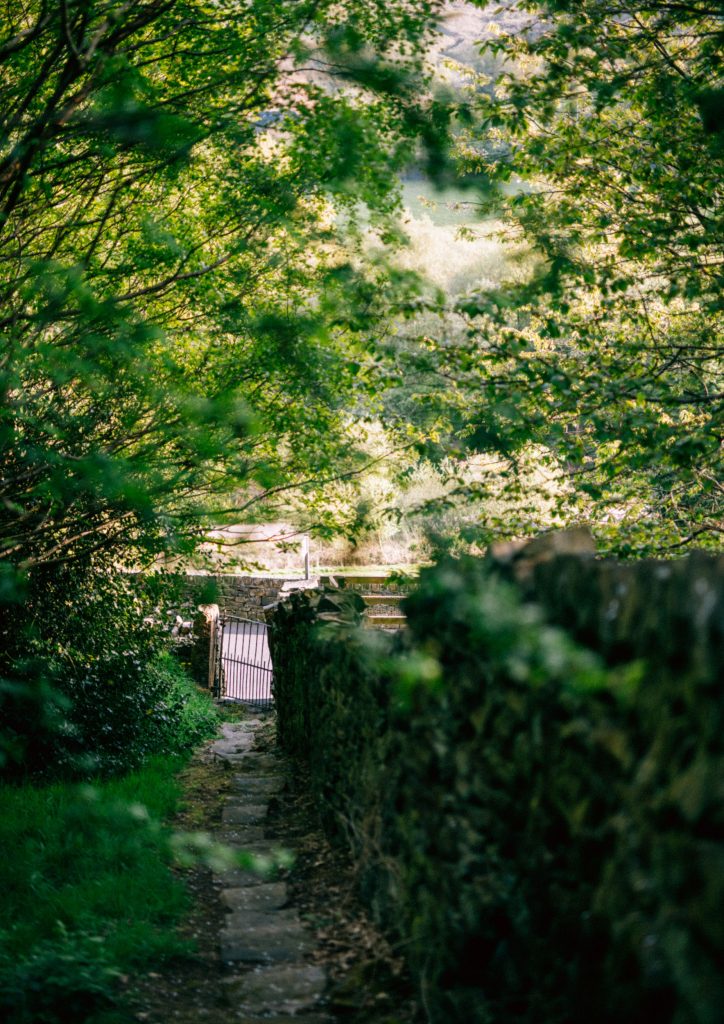 Daniel Johnson Gray – Off Redisher