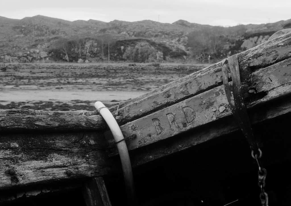 James Blakely – The Bay