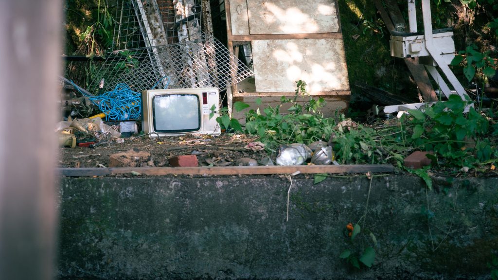 Laura Richer – Static undergrowth