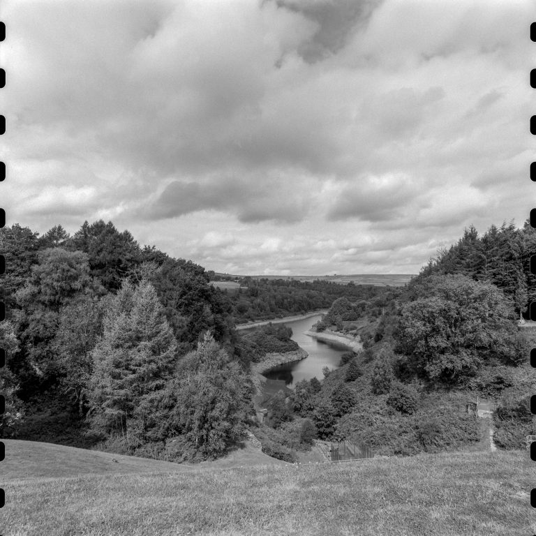 image by Albert Cornelissen